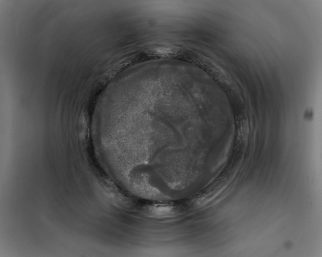 X0000101410651200808041105
