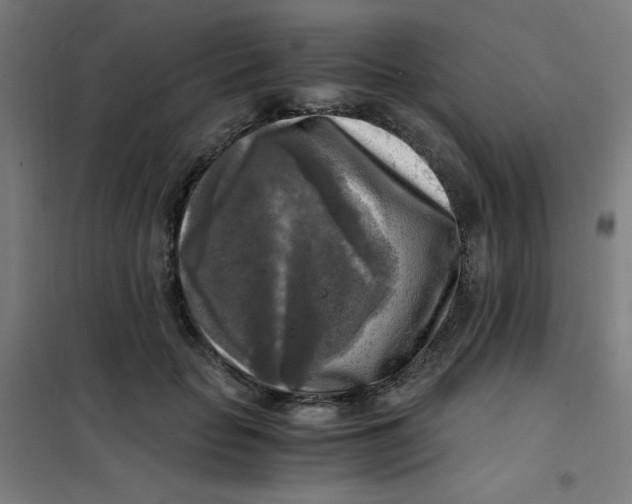 X0000101410653200808041105