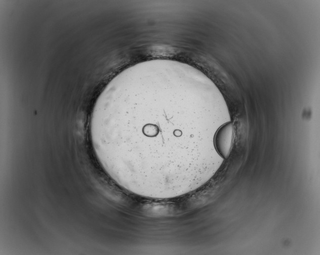 X0000101410655200808041106