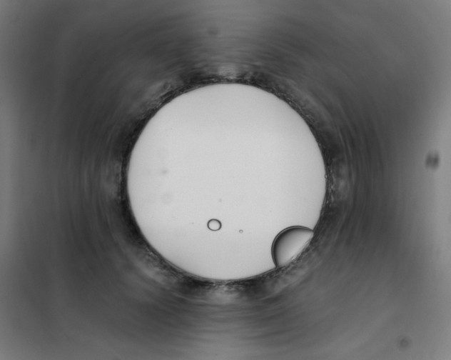 X0000101410656200808041106