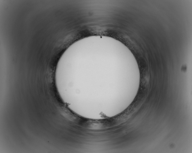 X0000101410658200808041106