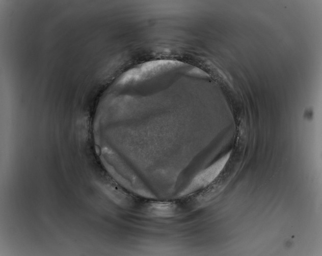 X0000101410659200808041106
