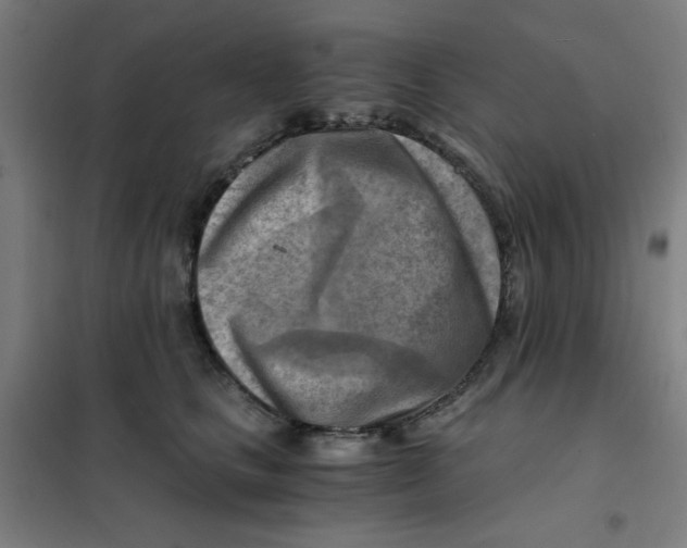 X0000101410661200808041106