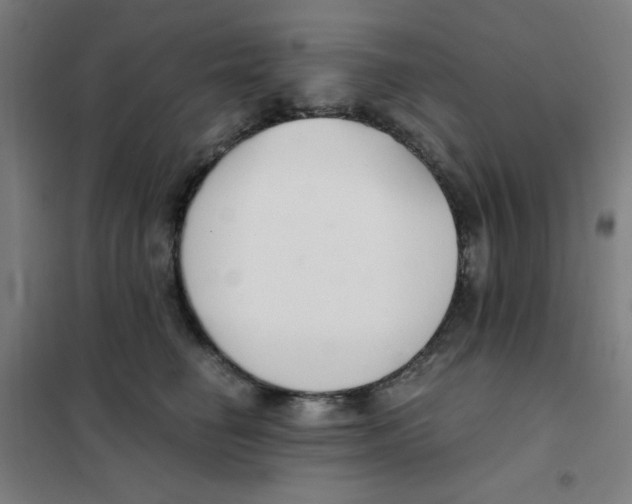 X0000101410662200808041106