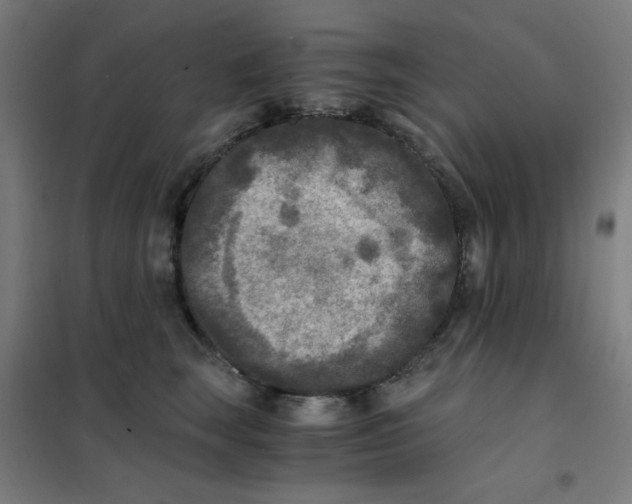 X0000101410663200808041106