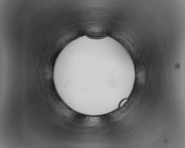 X0000101410665200808041106