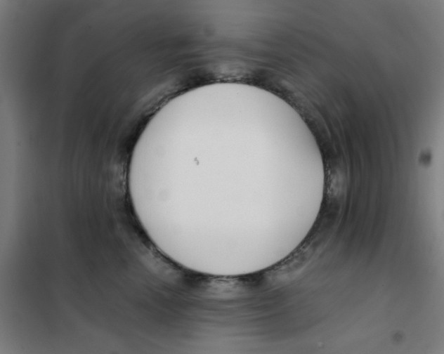 X0000101410666200808041106