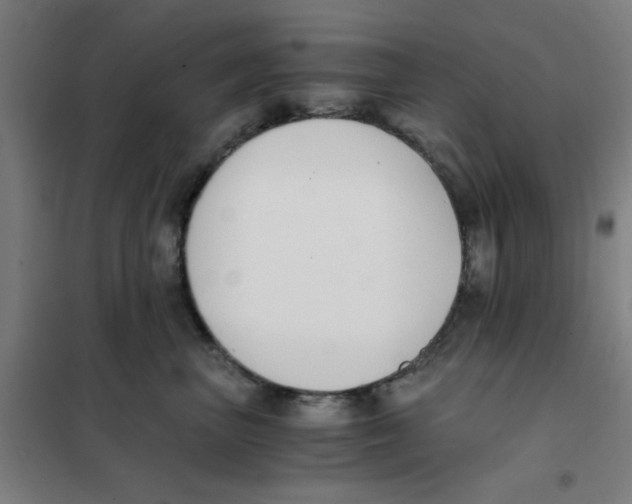 X0000101410667200808041106
