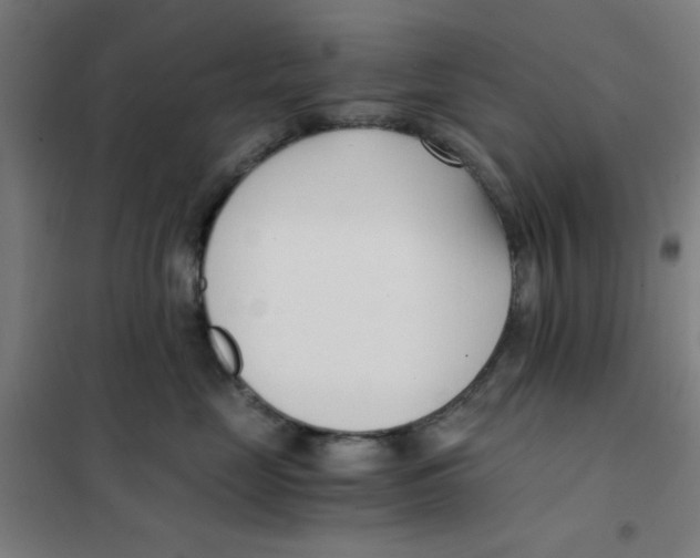 X0000101410669200808041106