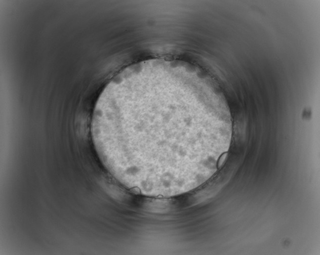 X0000101410671200808041106