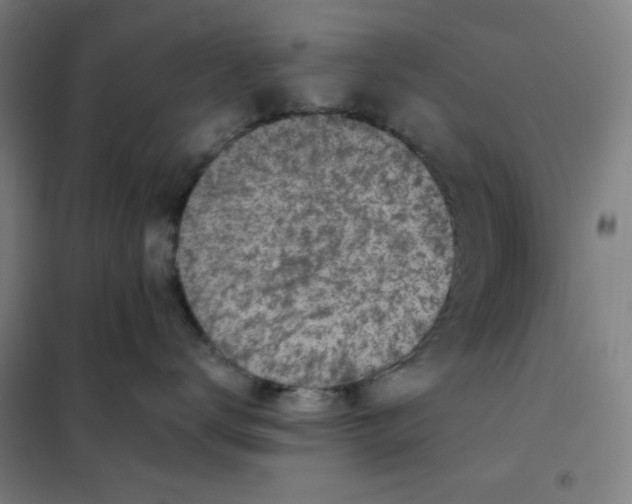 X0000101410672200808041106