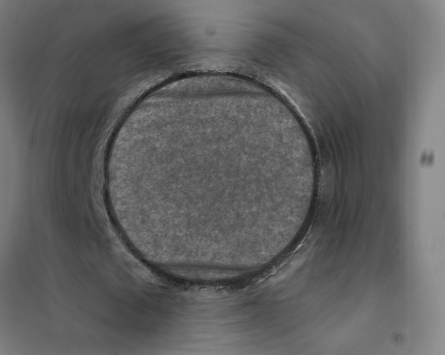 X0000101410673200808041105