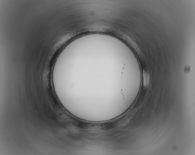 X0000101410675200808041105