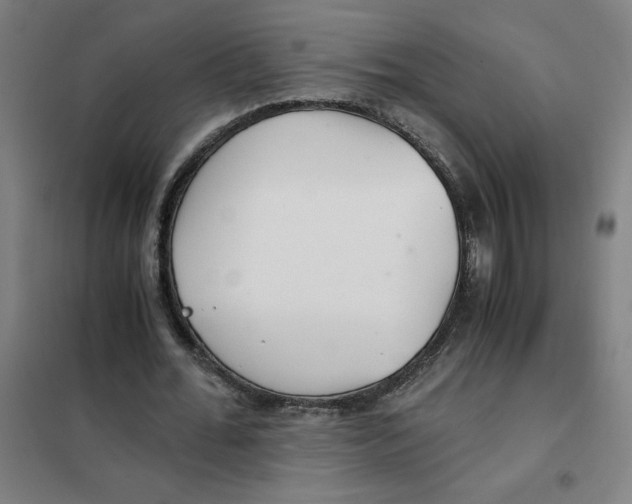 X0000101410676200808041105
