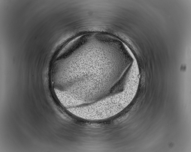 X0000101410677200808041105