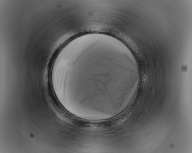 X0000101410678200808041105