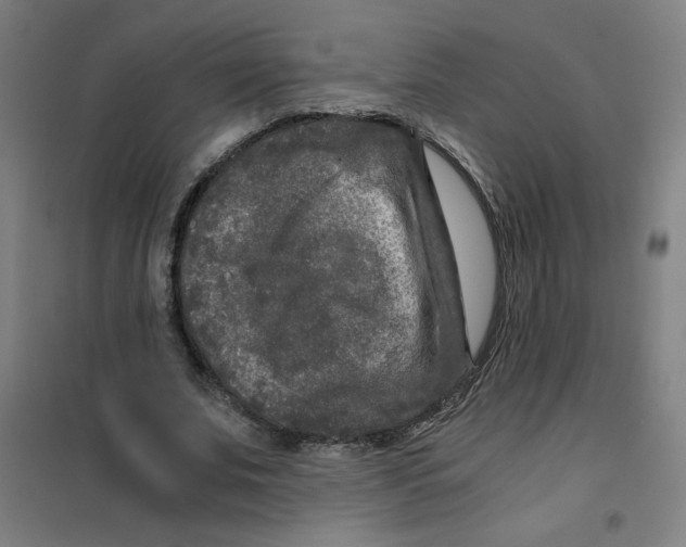 X0000101410679200808041105