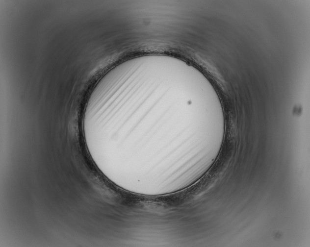 X0000101410681200808041105