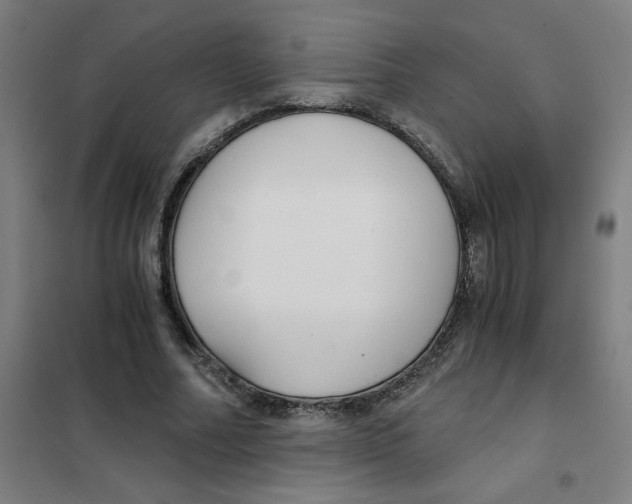 X0000101410682200808041105
