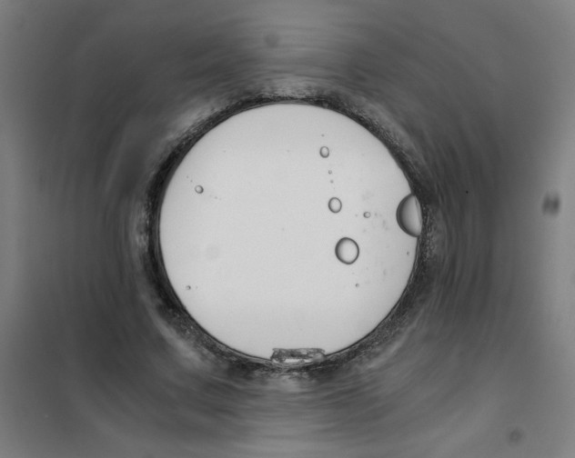 X0000101410683200808041105