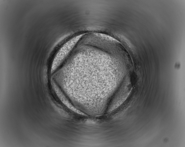 X0000101410684200808041105