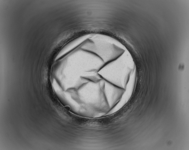X0000101410685200808041105
