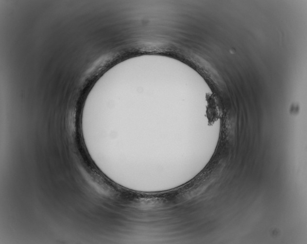 X0000101410686200808041105