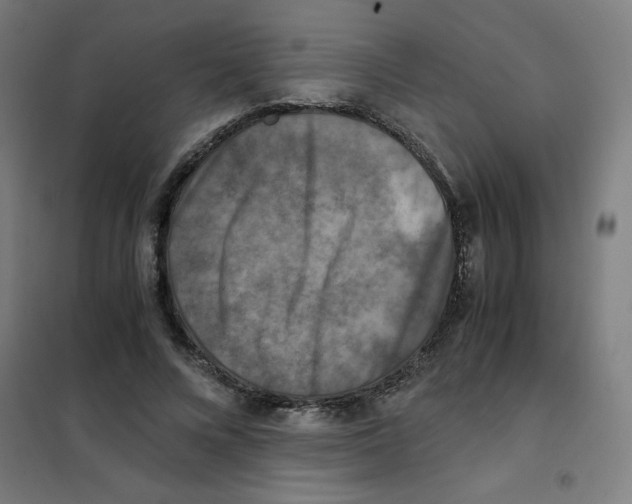X0000101410688200808041105