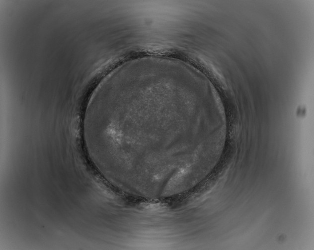 X0000101410689200808041105