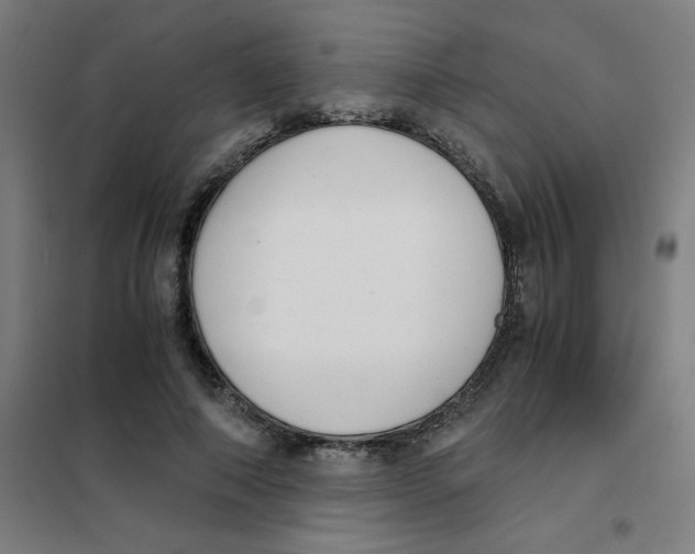 X0000101410690200808041105