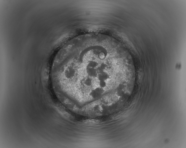 X0000101410691200808041105