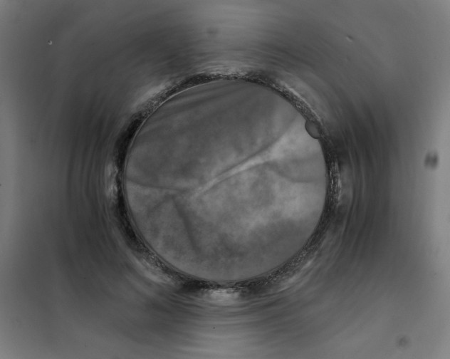 X0000101410692200808041105
