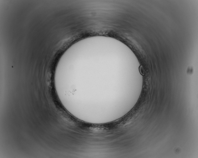 X0000101410693200808041105