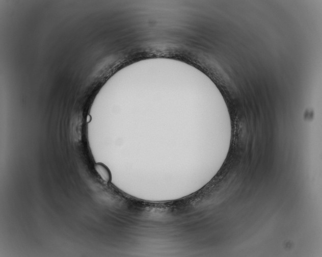 X0000101410694200808041105
