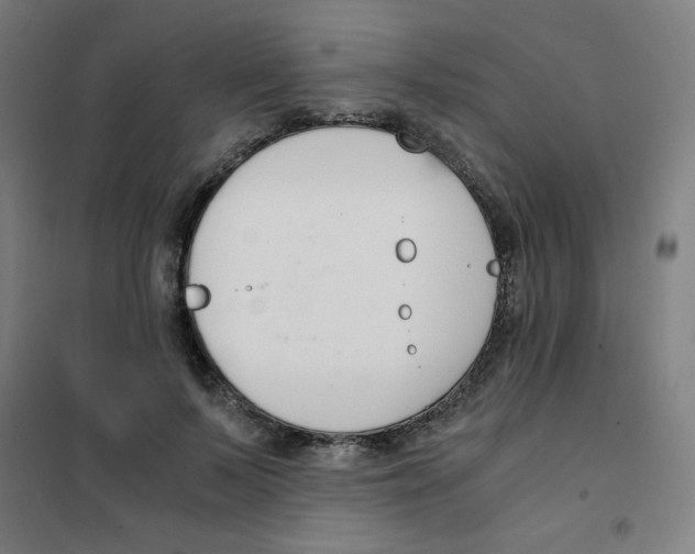 X0000101410695200808041105