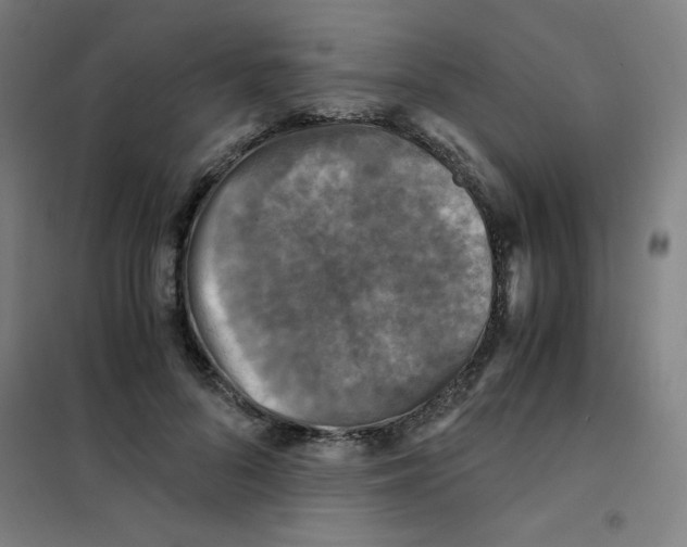 X0000101410696200808041105