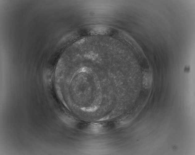 X0000101410701200808041105