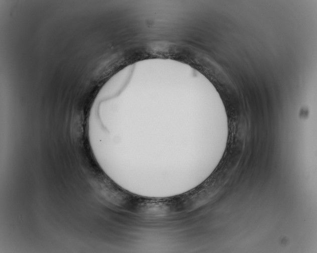 X0000101410702200808041105