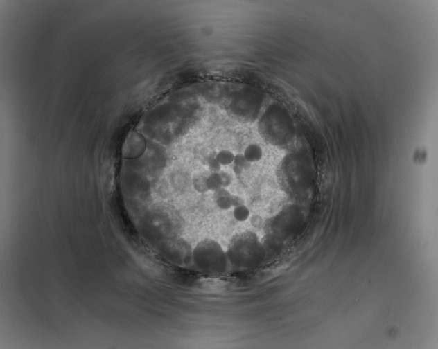 X0000101410703200808041104