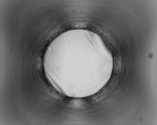 X0000101410704200808041104