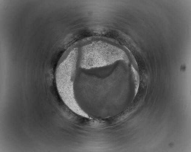 X0000101410707200808041104