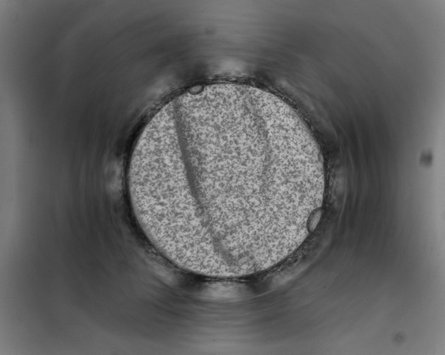 X0000101410708200808041104