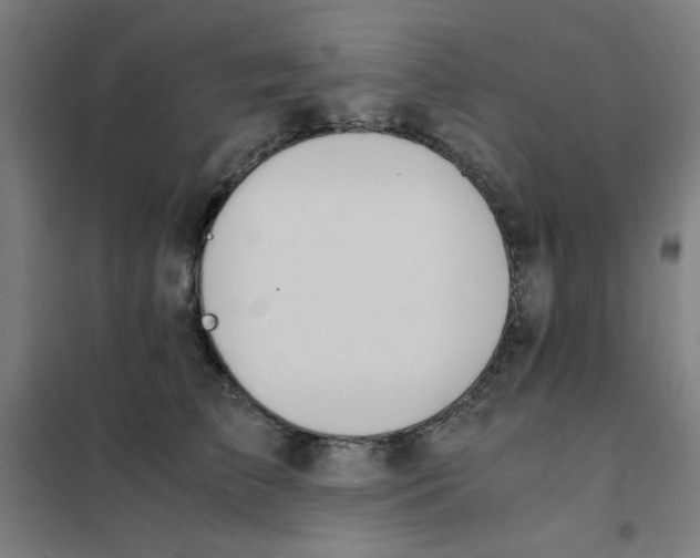 X0000101410709200808041104