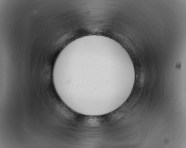X0000101410710200808041104