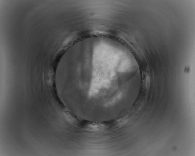 X0000101410712200808041104