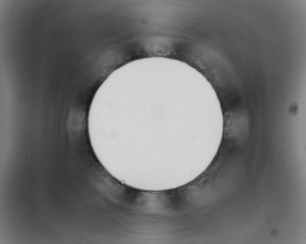X0000101410713200808041104