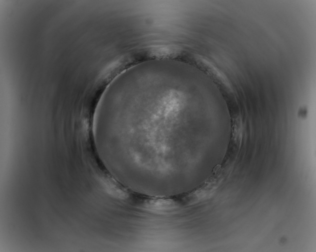 X0000101410716200808041104