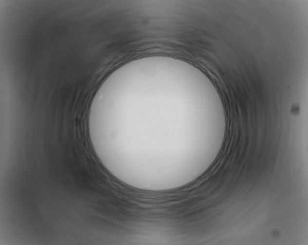 X0000101410717200808041104