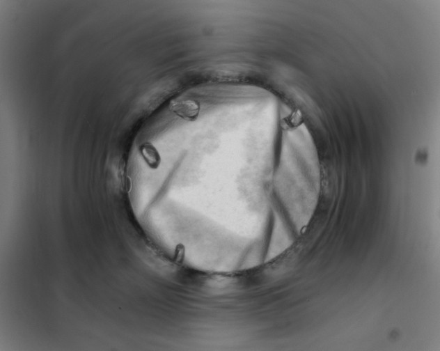 X0000101410718200808041104