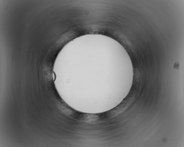 X0000101410719200808041104